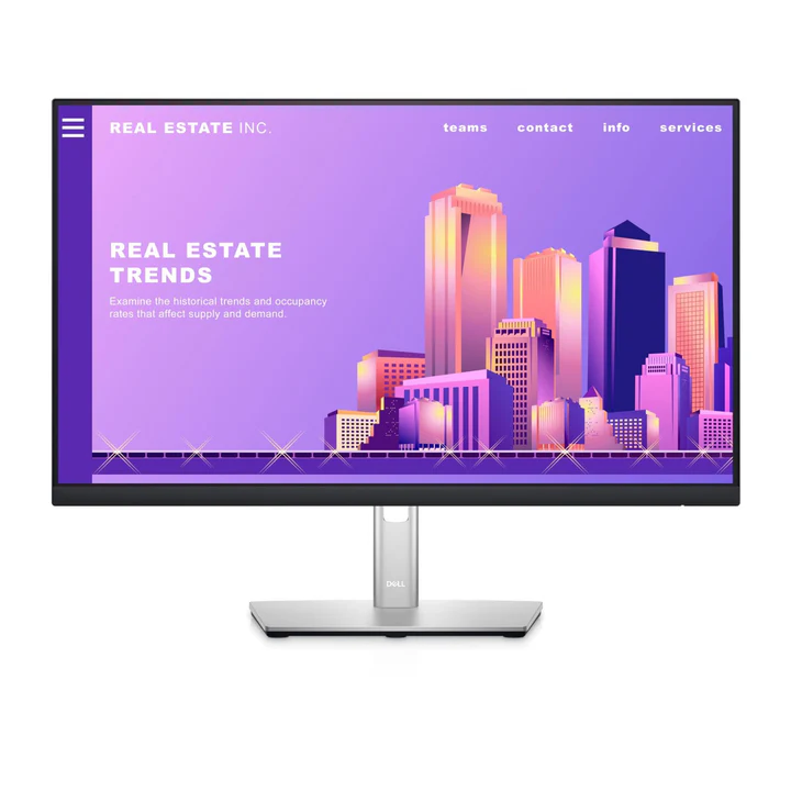 Dell - P2422H Monitor
